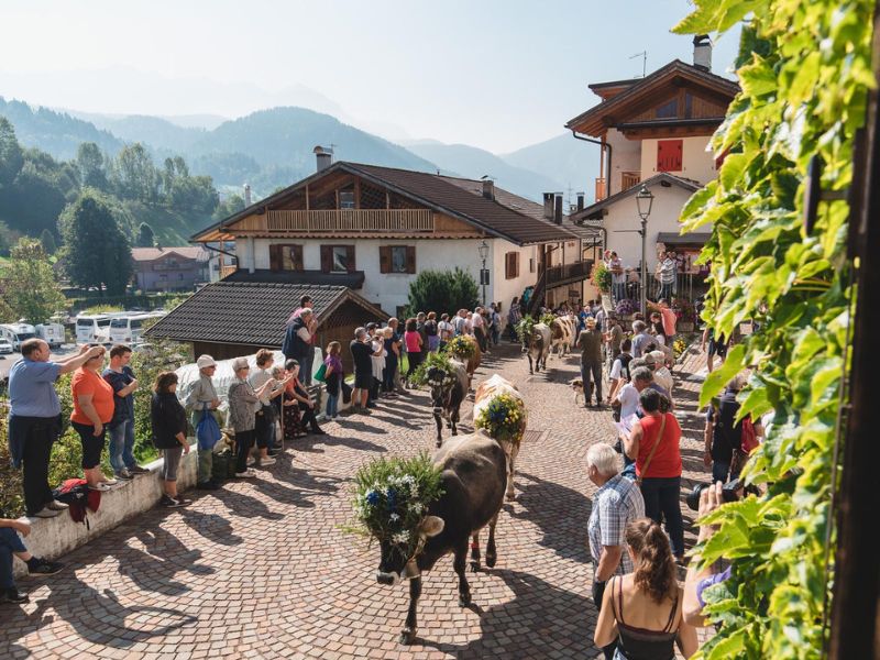 Gran Festa del Desmotegar